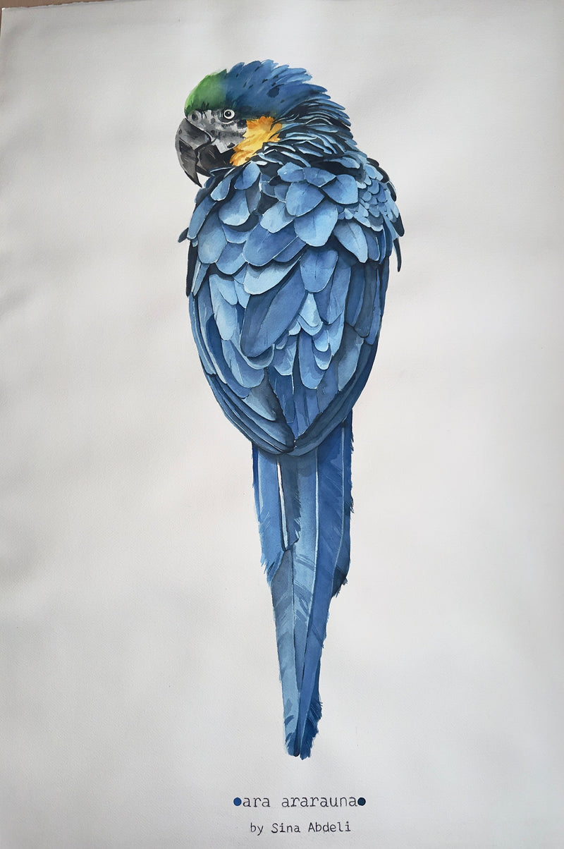 Vögel