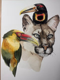 Toucans&Cougar