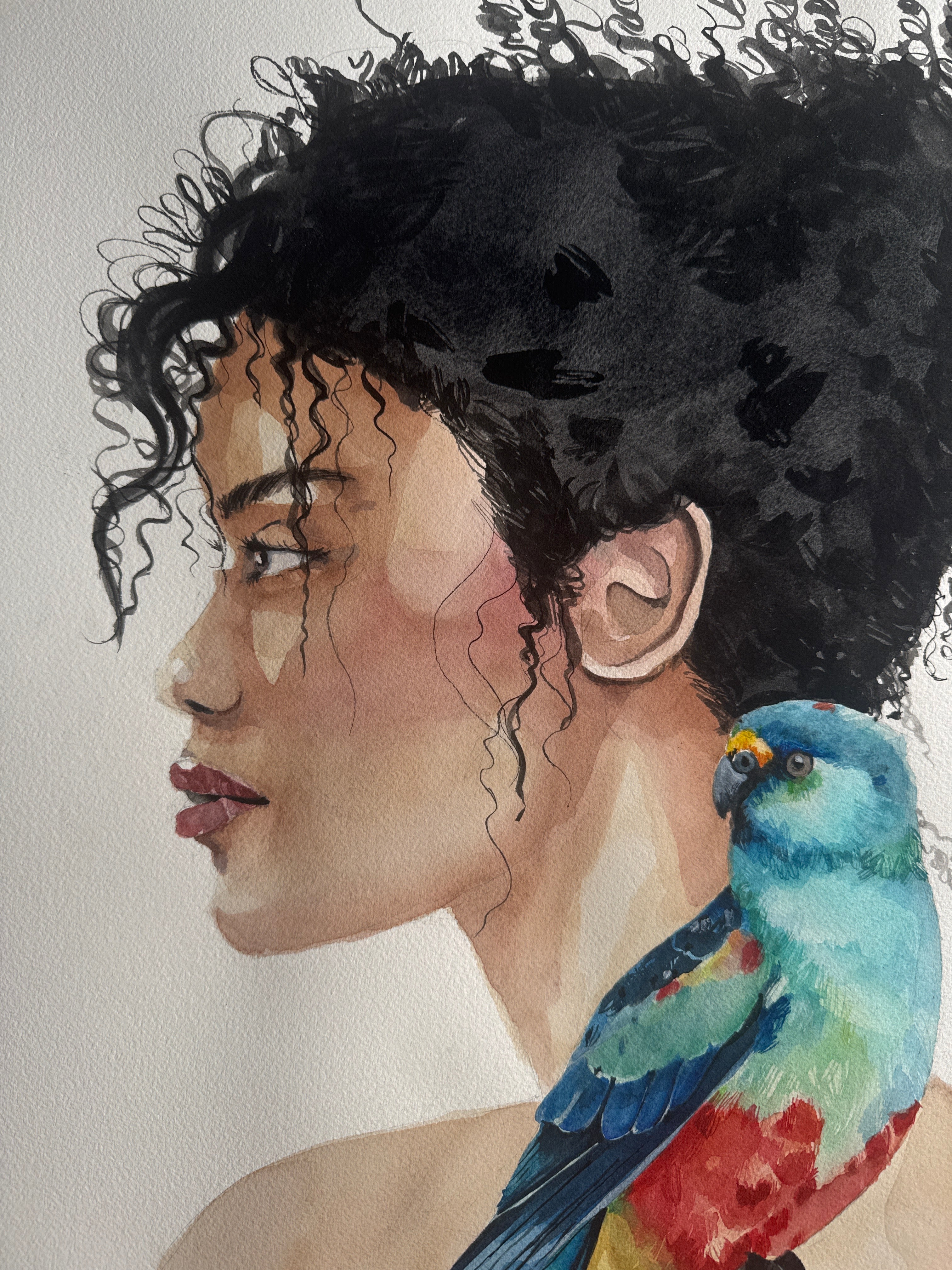 WILD CURLS