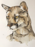 COUGAR